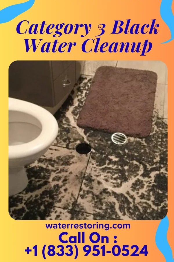 Category 3 Black Water Cleanup in Muenster, TX