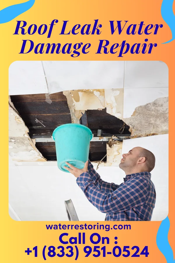 Roof Leak Water Damage Repair in Muenster, TX